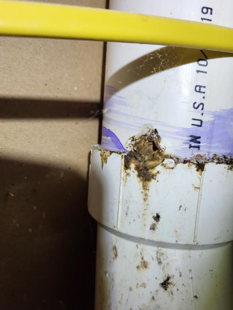 We responded to our customer in Villa Rica, GA after they reported a sewer leak near the stairs. Upon inspection, we found a hole in the main sewer line underneath the stairs. We repaired the damaged section of the drain pipe to stop the leak and restore proper drainage. After completing the repair, we tested the system for leak free operation. The sewer line is now functioning properly with no leaks.