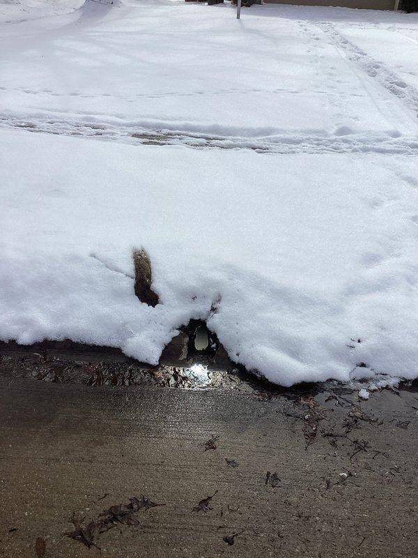 Performed jet service on sump pump and downspout drainage system to clear blockage. Inspected exterior discharge pipe and confirmed proper water flow after service was completed. Snow accumulation around discharge area was noted and cleared to ensure unobstructed drainage.