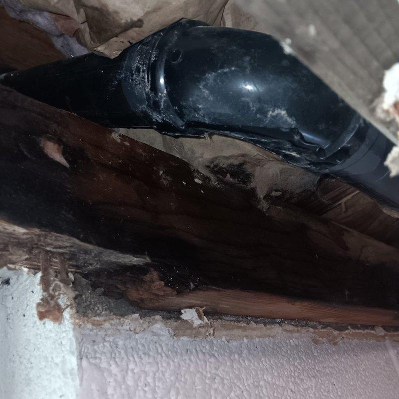 Responded to a commercial water leak in a garage ceiling beneath kitchen sink area. Upon inspection, discovered deteriorated drywall, wet insulation, and water damage in the ceiling cavity. Located leak source at drain pipe junction where moisture was accumulating on pipe surfaces passing through wooden structural members, and completed necessary repairs to resolve the issue.