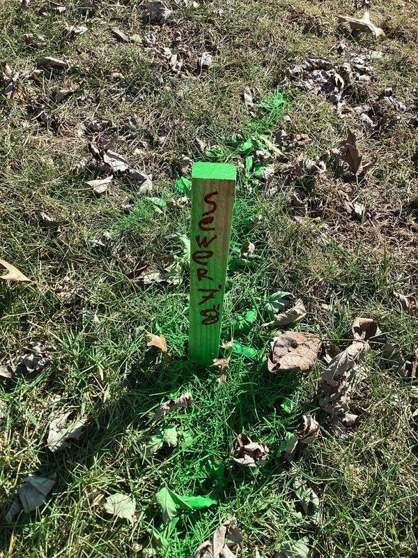 Successfully jetted sewer line from front wall clean-out to remove root intrusion as requested. Installed green utility markers at key points along the sewer path to identify line location for future reference.