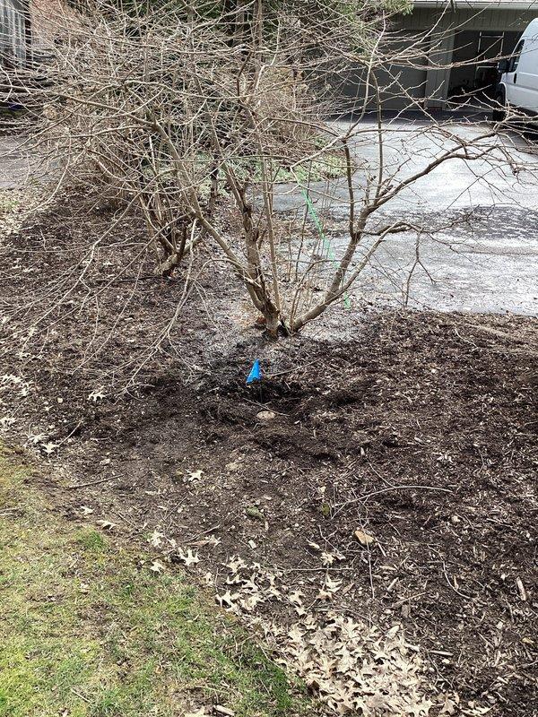 Responded to service call for water leak in residential flower bed area. Upon arrival, observed active water leakage around landscaped mulch bed near driveway. Conducted visual inspection of affected area, including examination of ground saturation patterns and surface conditions. Documented site conditions with photographs showing dormant plantings in circular mulch bed adjacent to concrete driveway and cracked asphalt surfaces. Assessment indicated potential underground pipe failure beneath landscaped area based on leak location and severity. Marked suspected leak zone with identification stake for future excavation reference.