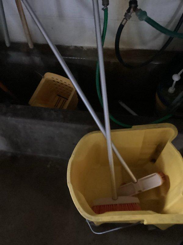 Provided comprehensive estimate for drain cleaning services at a commercial facility. Scope includes nine total drains requiring maintenance: three long trench drains, four short trench drains, and two floor drains located beneath a yellow grate in the utility area and within a cement mop basin. Photographic documentation captured existing conditions of drainage infrastructure including trench drain grates and utility room floor drain systems.