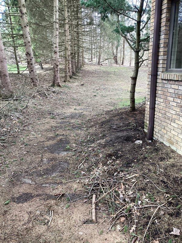 Performed site assessment of downspout drainage system at residential property. Identified two sections of underground downspout drains requiring repair due to damage or deterioration. Inspected drainage connections at building foundation where downspouts discharge into underground drain lines. Documented existing conditions showing debris accumulation and natural vegetation encroachment near drainage points. Provided detailed estimate for excavation and replacement of damaged drain sections to restore proper stormwater conveyance away from structure foundation.