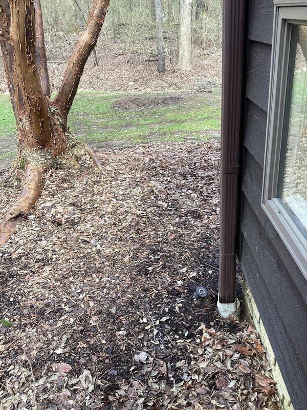 Performed site assessment of downspout drainage system at residential property. Identified two sections of underground downspout drains requiring repair due to damage or deterioration. Inspected drainage connections at building foundation where downspouts discharge into underground drain lines. Documented existing conditions showing debris accumulation and natural vegetation encroachment near drainage points. Provided detailed estimate for excavation and replacement of damaged drain sections to restore proper stormwater conveyance away from structure foundation.