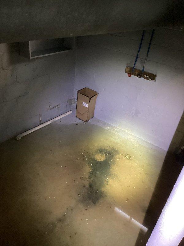 Responded to report of main drain backup with suspected leaking in basement area. Upon arrival, found evidence of sewage backup on concrete floor with visible staining and moisture accumulation in utility space. Performed main drain cleanout procedure to clear blockage causing the backup issue. Successfully restored proper drainage flow through main line, eliminating the backup condition. Verified system operation and confirmed no active leaking present after cleanout completion.