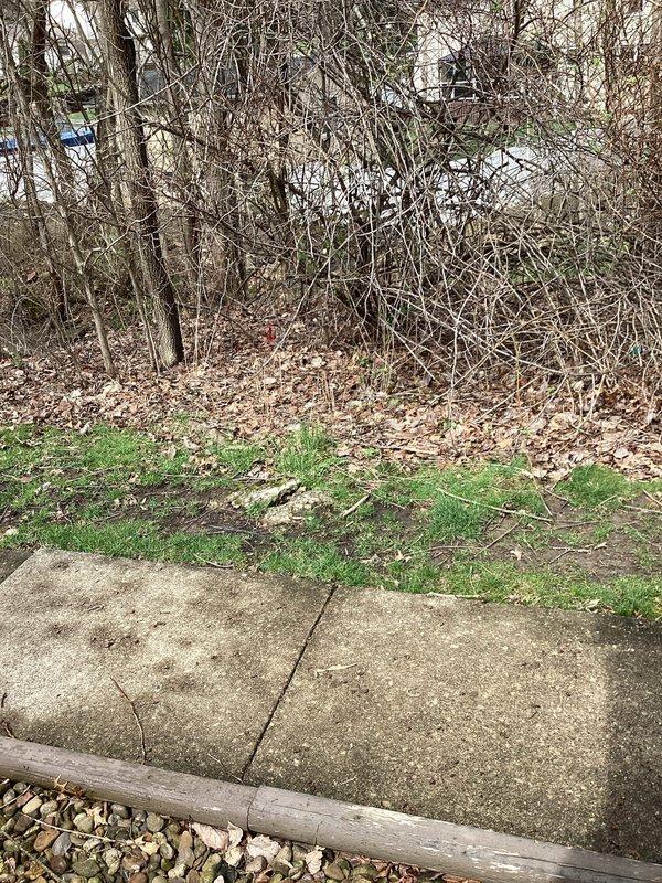 Responded to report of gutter drain lines overflowing at Unit A, causing water to redirect toward exterior walls and foundation. Upon arrival, located the main drain cleanout at building exterior where downspout connects to underground drainage system. Accessed drainage grate set in river rock bed at foundation level. Snaked the clogged drain line to remove blockage and restore proper water flow through the gutter drainage system, preventing water accumulation near building foundation and exterior walls.