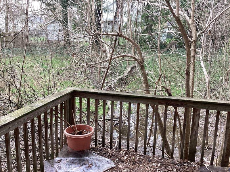 Responded to service call for multiple drainage issues including standing water in backyard, basement water intrusion, and clogged drain. Upon arrival, assessed property conditions and existing French drain system. Inspected outdoor drainage areas from elevated deck vantage point to evaluate water collection patterns and identify potential blockage points. Examined basement entry points for water infiltration and cleared clogged drain to restore proper flow. Addressed immediate drainage concerns to prevent further water accumulation and basement flooding.