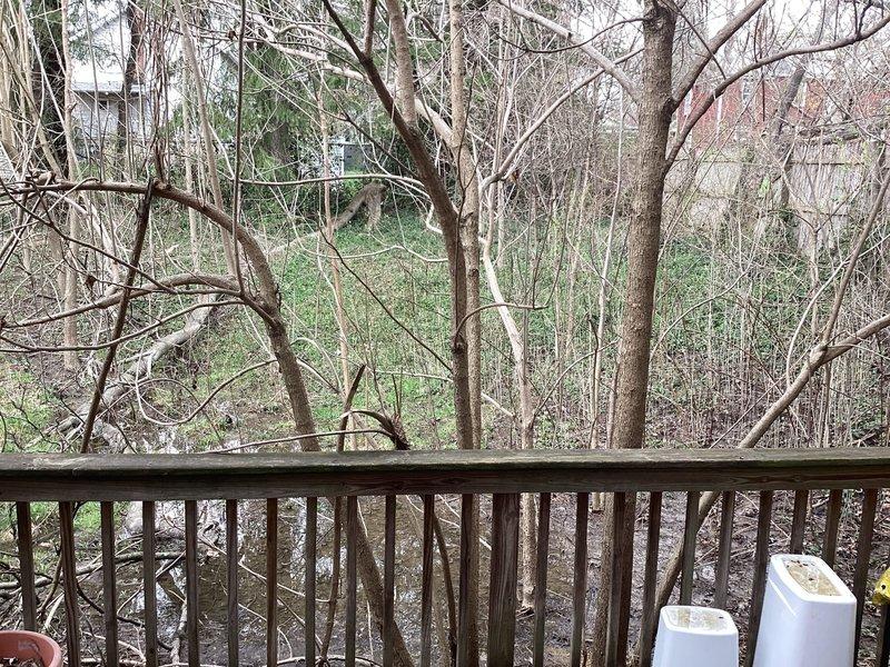 Responded to clogged wash bay drain service call and checked in upon arrival as instructed. Deployed jetter equipment to clear blockage in drain line. Successfully restored proper drainage flow to wash bay system. Photos documented site conditions and work area access from deck location.