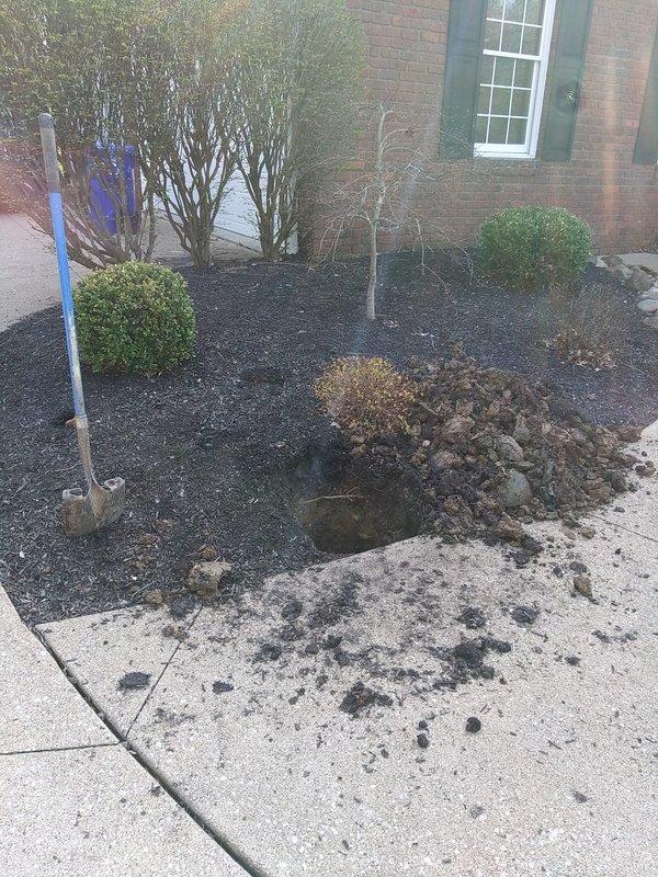 Excavated landscaped areas to access irrigation system drops and successfully installed nine new risers, elevating each drop above ground level to prevent future drainage issues. All new risers were permanently secured using PVC cement into 90-degree elbows for proper water flow direction. Additionally, performed high-pressure jetting service on the mainline running from garage drops to clear a blockage located in the flower bed area, restoring full system functionality.