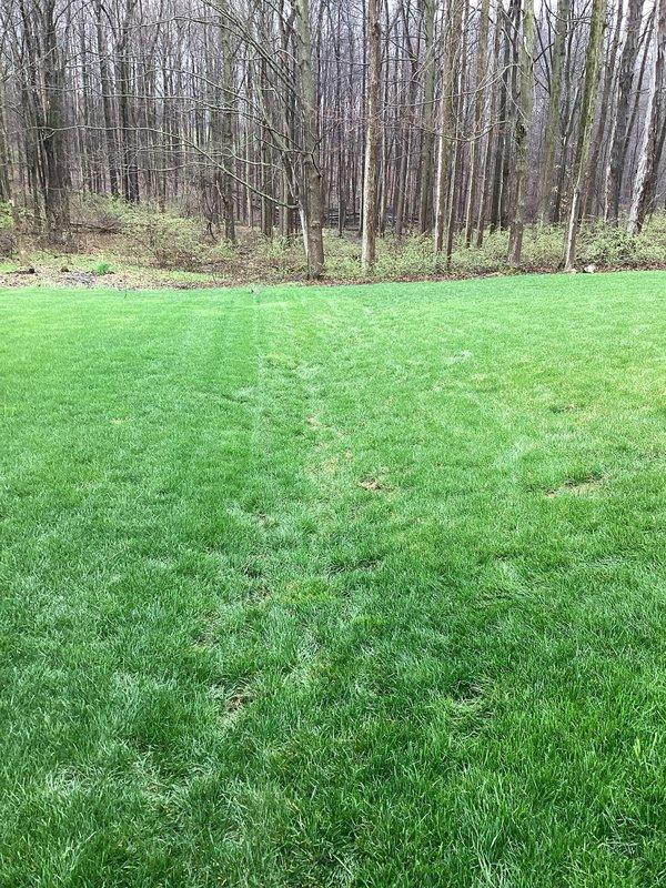 Responded to drainage issue in backyard area. Performed main drain cleanout service to restore proper flow and resolve customer's drainage concerns. System inspected and verified operational upon completion.