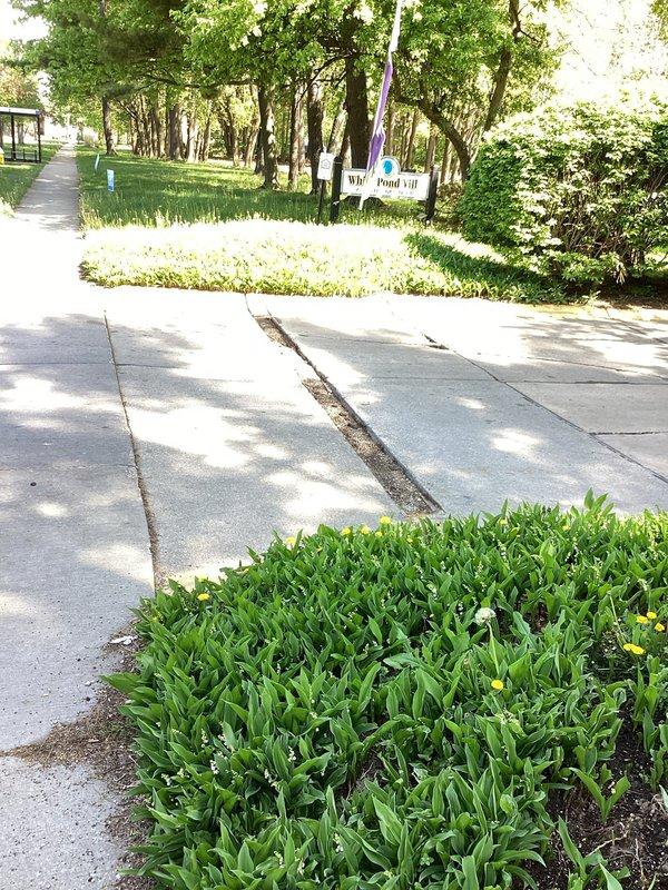 Responded to a service call regarding a former parking lot drainage system that had been filled in and blocked. Conducted on-site inspection of the area where the drain previously existed. Assessed the current condition of the filled drainage point and surrounding concrete surfaces to determine requirements for restoration. Evaluation completed to provide estimate for excavation, installation of new drainage piping, and placement of appropriate grate cover to restore proper stormwater management functionality to the commercial property.