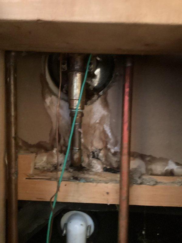 Completed cartridge replacement and shower diverter installation on a Delta single-handle tub/shower faucet in a 75-year-old home. Accessed the wall cavity to expose existing plumbing infrastructure, removed the failed cartridge from the valve body, and installed a new replacement cartridge to restore proper temperature control and water flow. Installed a new shower diverter mechanism to allow switching between tub spout and showerhead functions. Reassembled the trim components, tested all functions for proper operation, and verified no leaks were present at the valve body or connections.