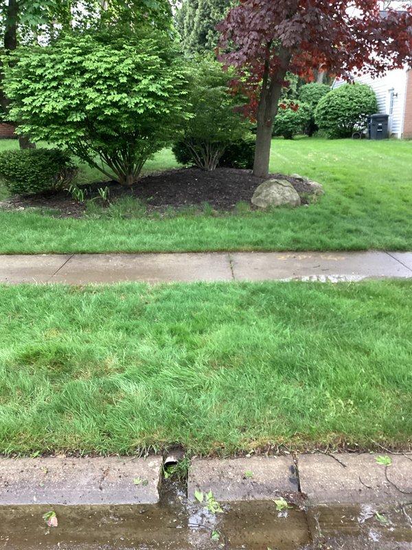 Responded to drainage issue at approximately 40-year-old residence on second scheduled visit. Upon arrival, assessed exterior drainage system and identified water flow from curb drainage pipe opening onto street pavement. Inspected residential plumbing drainage infrastructure and cleared obstruction causing backup in main drain line. Verified proper water flow through system and confirmed drainage issue resolved. Property exterior showed normal water discharge through curb outlet following service completion.