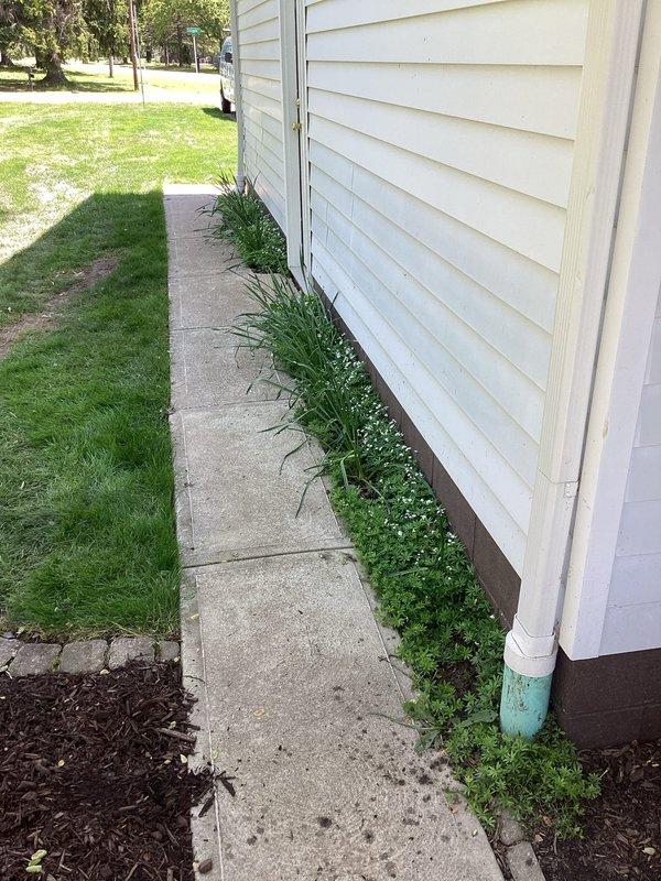 Responded to call for basement flooding due to sump pump failure with suspected main drain clog. Upon arrival, performed diagnostic assessment of drainage system and conducted requested camera inspection to identify blockage location and assess line condition. Exterior inspection completed to evaluate discharge points and verify proper drainage flow from foundation perimeter systems.