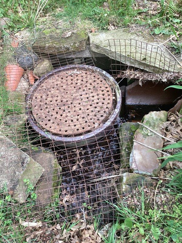 Completed initial service call to assess and install reverse valve on exterior ceramic pipe system located in yard. Upon arrival, found existing drainage infrastructure with heavily corroded circular metal grate cover and deteriorated wire mesh components showing significant rust and weathering. The access point was partially obstructed by accumulated organic debris, fallen leaves, and overgrown vegetation. 

Cleared debris from work area and exposed the ceramic pipe section requiring valve installation. The existing drainage system showed signs of prolonged moisture exposure with moss and algae growth on surrounding concrete structures. Successfully installed reverse valve on the one-foot ceramic pipe section to prevent backflow and ensure proper drainage function. Verified valve operation and secured all components. Work area was cleared of construction debris upon completion.