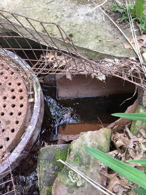 Completed initial service call to assess and install reverse valve on exterior ceramic pipe system located in yard. Upon arrival, found existing drainage infrastructure with heavily corroded circular metal grate cover and deteriorated wire mesh components showing significant rust and weathering. The access point was partially obstructed by accumulated organic debris, fallen leaves, and overgrown vegetation. 

Cleared debris from work area and exposed the ceramic pipe section requiring valve installation. The existing drainage system showed signs of prolonged moisture exposure with moss and algae growth on surrounding concrete structures. Successfully installed reverse valve on the one-foot ceramic pipe section to prevent backflow and ensure proper drainage function. Verified valve operation and secured all components. Work area was cleared of construction debris upon completion.