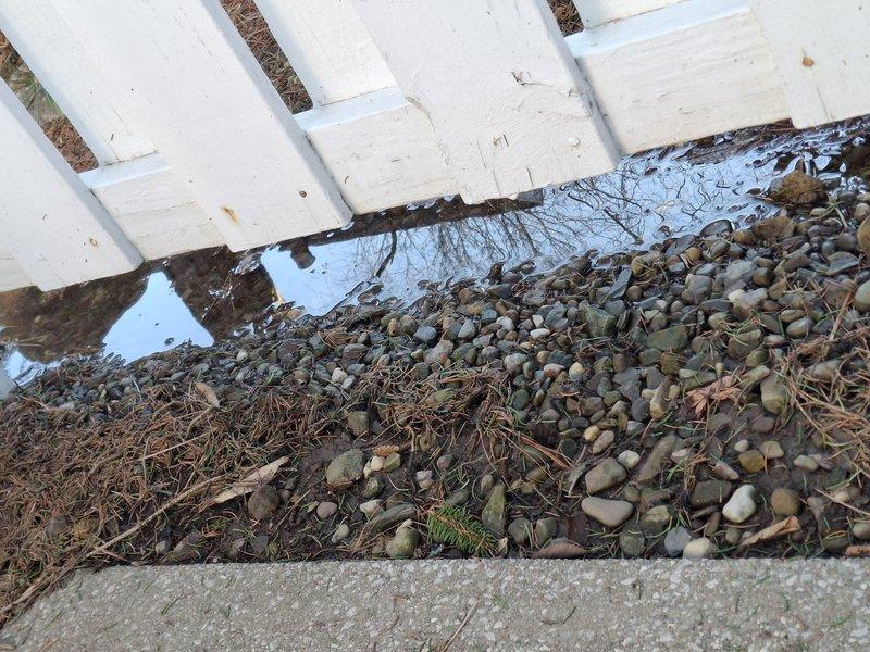 Responded to flooding issues affecting both the French drain area and adjacent backyard. Upon arrival, observed standing water pooling near foundation with deteriorated drainage components and accumulated debris obstructing proper water flow around the building perimeter. Documented existing conditions showing compromised lattice skirting, degraded structural elements, and inadequate drainage function requiring specialized attention from drainage contractors for comprehensive system assessment and repair.