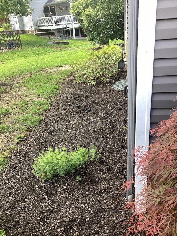 Performed camera inspection of exterior drainage system at 36-year-old residential property. Inspected downspout drainage lines and underground corrugated pipe routing from house foundation through landscaped areas. Documented drainage pipe condition, flow path, and termination points to assess system functionality and identify any potential blockages or structural concerns.