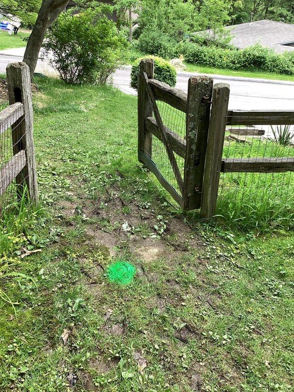 Responded to service call for assessment of ground water drainage system experiencing potential blockage in lawn area. Conducted comprehensive plumbing inspection of exterior drainage infrastructure, locating and marking underground drain lines with fluorescent green paint for identification. Evaluated drainage flow patterns across sloped residential property, examining multiple drain access points throughout backyard lawn area near stone pathway and fence line. Assessed condition of subsurface drainage system to determine extent of clog and recommend appropriate remedial action for restoring proper ground water flow. Documented site conditions with photographic evidence showing marked drain locations and property layout for estimate preparation.