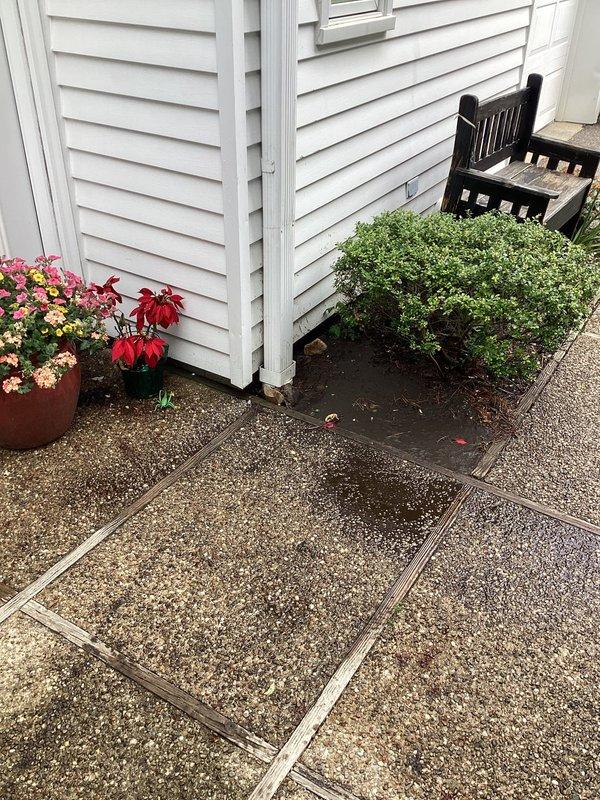 Responded to underground drainage backup issue affecting downspout drains on both sides of front entrance. Heavy rainfall had caused water to surge approximately 2 inches above drain fittings, indicating partial blockage in the underground drainage system. Performed mechanical snaking of both underground drain lines to clear obstructions and restore proper water flow, preventing potential complete blockage that would have required excavation. Verified drainage functionality and documented site conditions with photographic evidence of work area including garden bed and patio locations near affected downspouts.