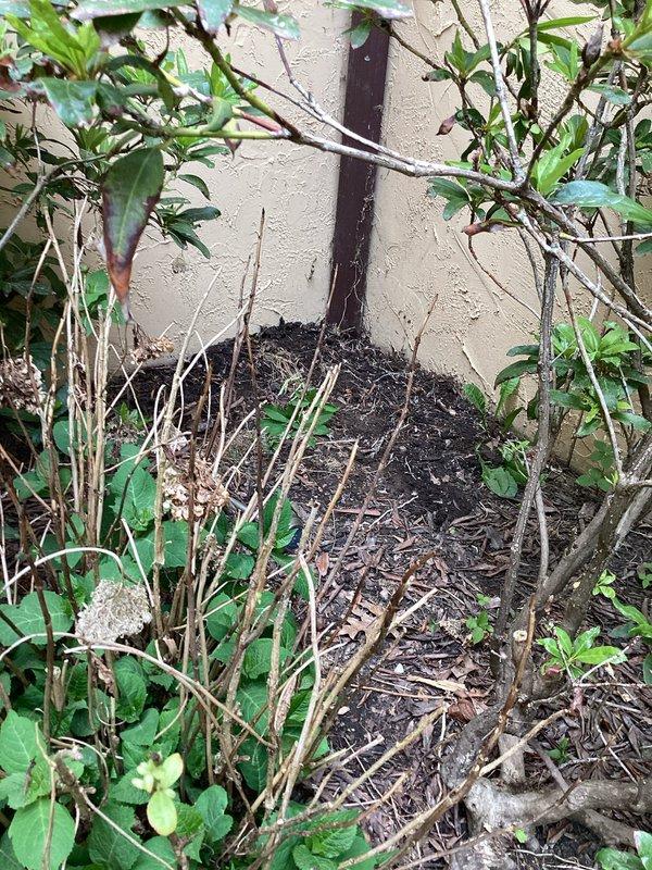 Responded to recurring drainage issue where garage flooding returned after previous jetting service when heavy rain occurred. Performed secondary high-pressure water jetting of drainage line to clear persistent blockage and restore proper flow. Documented exterior drainage area and collected water sample showing sediment and debris present in system.