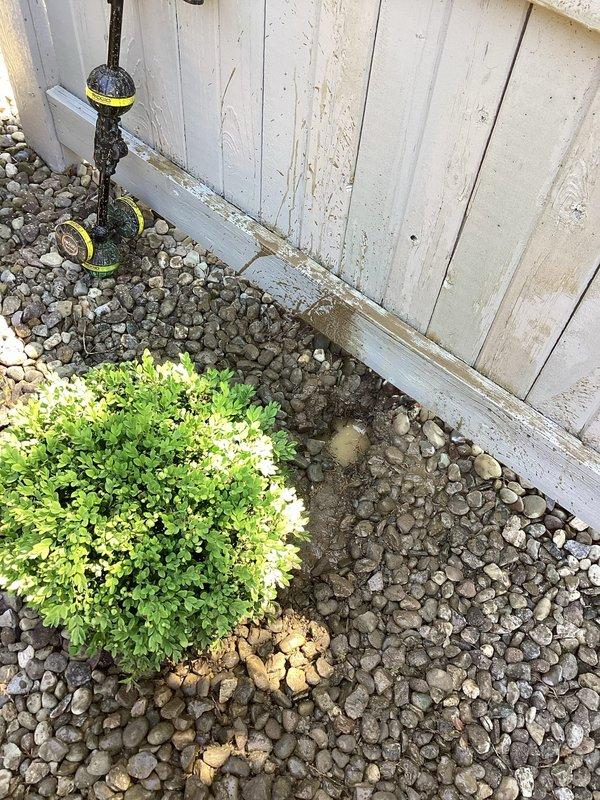 Conducted inspection of residential ground water drainage system to diagnose backflow issue causing water to enter garage during heavy rainfall events. Assessed existing garage floor drain configuration and surrounding yard grading. Documented current drainage infrastructure including exterior drainage points, downspout discharge locations, and gravel drainage areas adjacent to structure. Evaluated soil saturation patterns and potential contributing factors to reverse flow conditions in existing drain lines. Photographed site conditions showing exterior utility connections, HVAC equipment placement on concrete pad with surrounding landscape rock, foundation drainage areas, and vegetation overgrowth near building perimeter. Identified need for additional yard drainage solution to mitigate stormwater backup into garage floor drains during peak precipitation events. Prepared recommendations for installation of supplementary ground water drain system to redirect excess surface water away f