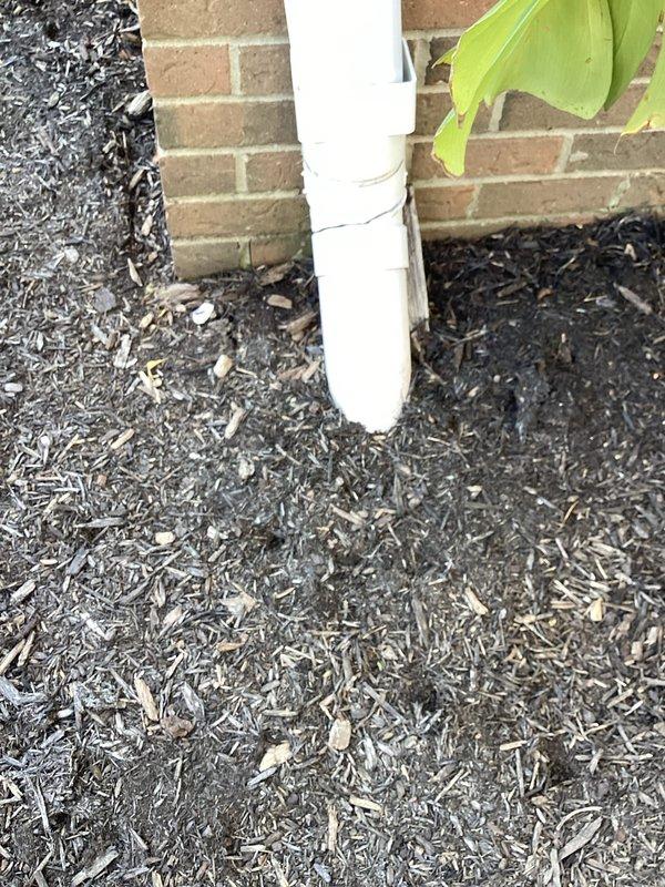 Conducted assessment of exterior downspout and drainage system at brick building foundation. Inspected white PVC downspout assembly including vertical runs, elbow joints, and horizontal extension components for proper water diversion away from foundation. Documented current condition of drainage infrastructure and landscaping interface where downspout terminates in mulched bed area. Photographed installation for quote preparation regarding necessary repairs to downspout system.