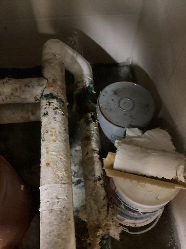 Responded to service call for no water flow from multiple faucets in commercial restroom facility. Upon inspection, identified severely deteriorated supply line insulation and compromised plumbing connections beneath sink cabinet. Replaced damaged shut-off valves, repaired corroded pipe fittings, and restored full water pressure to affected fixtures. All faucets tested and confirmed operational upon completion.