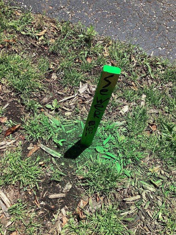 Responded to backup issues affecting two floor drains, one shower drain in basement, and exterior downspouts. Performed main drain cleanout to clear blockage in the primary sewer line, restoring proper drainage throughout the system. Marked cleanout access points with visible green stakes for future service reference.