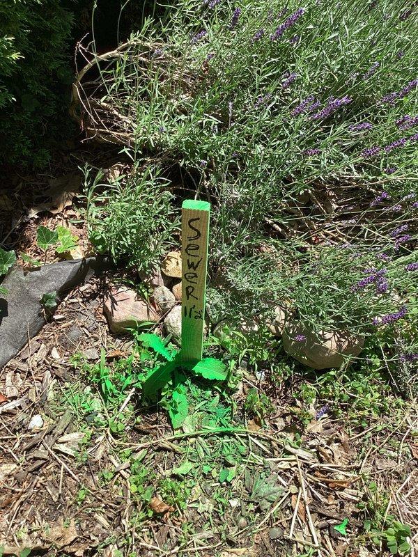 Responded to backup issues affecting two floor drains, one shower drain in basement, and exterior downspouts. Performed main drain cleanout to clear blockage in the primary sewer line, restoring proper drainage throughout the system. Marked cleanout access points with visible green stakes for future service reference.