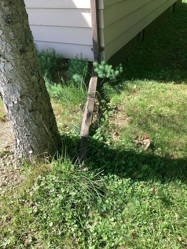 Responded to wet basement complaint with unknown water source in 40-year-old residential property. Conducted comprehensive exterior inspection focusing on foundation perimeter, downspout discharge points, and grade conditions around structure. Identified areas of concern including vegetation overgrowth near foundation, potential drainage issues at corners where downspouts meet ground level, and compromised grading allowing water accumulation near basement walls. Documented conditions with photographic evidence showing corrugated metal materials, deteriorated drainage components, and overgrown landscaping impeding proper water flow away from foundation.