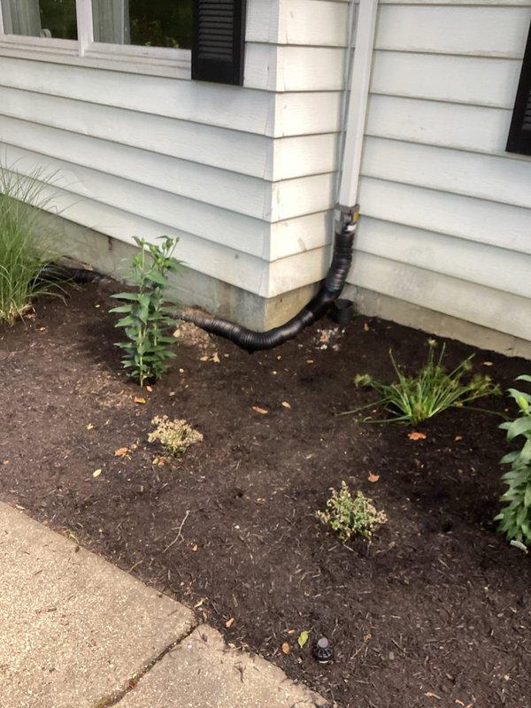Responded to service call for clogged downspout drainage system. Upon arrival, found downspout discharge area heavily overgrown with vegetation, including dense ground cover obstructing proper water flow from foundation drainage. Cleared debris and vegetation from downspout outlet and surrounding drainage depression to restore proper water discharge away from building foundation.