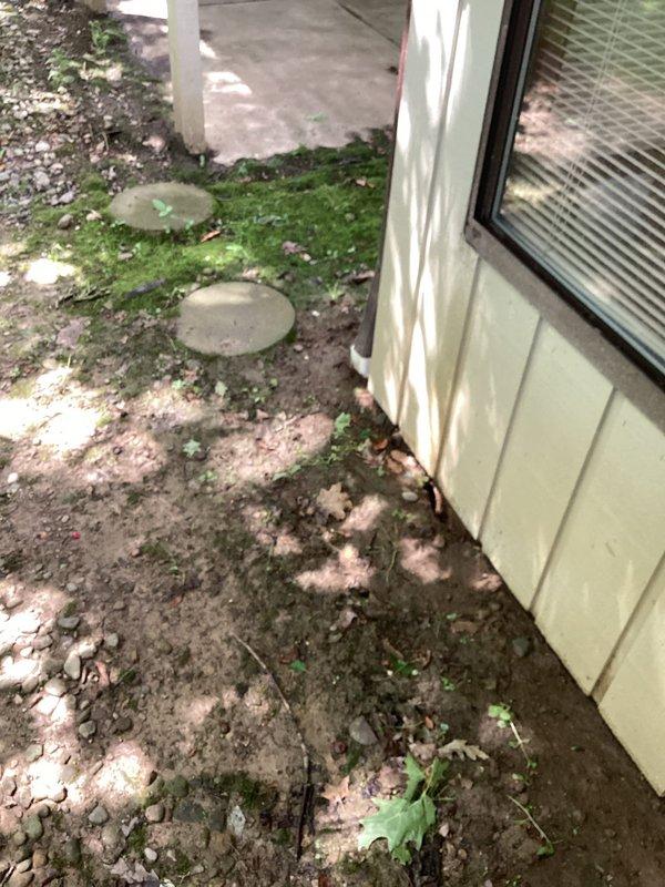 Responded to work order for inspection and quote of exterior ground water drainage system. Assessed two patio drains experiencing standing water and slow drainage issues, which required mechanical cleaning to restore proper flow. Documented existing conditions showing water accumulation on concrete patio surface near building foundation, moss and weed growth indicating chronic moisture problems, and compromised drainage infrastructure requiring snake-out service to clear blockages and prevent future water pooling.