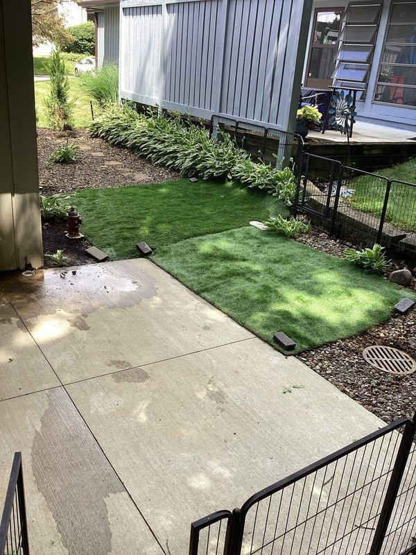 Responded to work order for inspection and quote of exterior ground water drainage system. Assessed two patio drains experiencing standing water and slow drainage issues, which required mechanical cleaning to restore proper flow. Documented existing conditions showing water accumulation on concrete patio surface near building foundation, moss and weed growth indicating chronic moisture problems, and compromised drainage infrastructure requiring snake-out service to clear blockages and prevent future water pooling.
