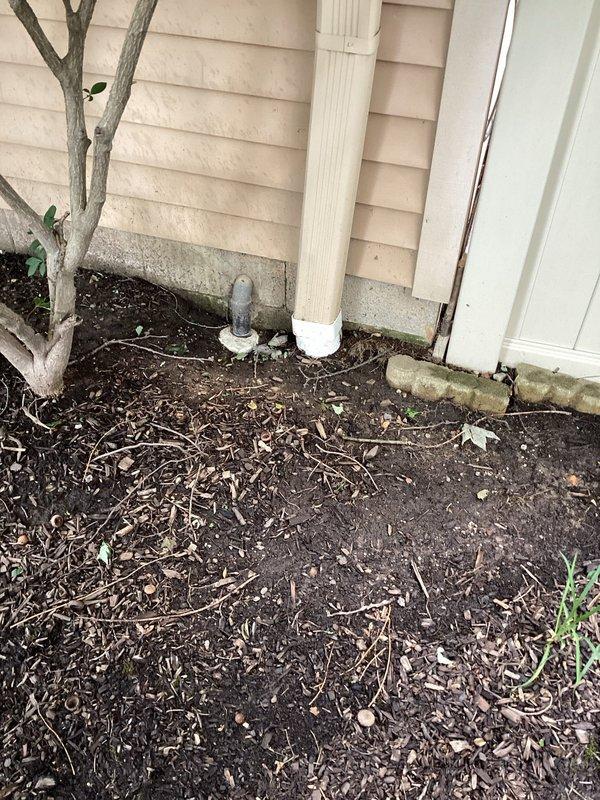 Conducted comprehensive inspection of sump pump system and evaluated moisture intrusion concerns at property located at lowest elevation point. Verified sump pump operational status and identified moisture accumulation on interior foundation walls. Discovered exterior sump discharge line disconnected from downspout drain outlet due to ground settlement. Documented foundation conditions, drainage patterns, and water collection issues around building perimeter. Photographed exterior foundation areas showing mulch displacement, organic debris accumulation, and grade conditions contributing to water pooling. Provided technical recommendations for corrective measures including drainage system improvements, installation of swales for proper water diversion, sump discharge line extensions, and foundation waterproofing solutions to prevent future moisture intrusion and protect structural integrity.
