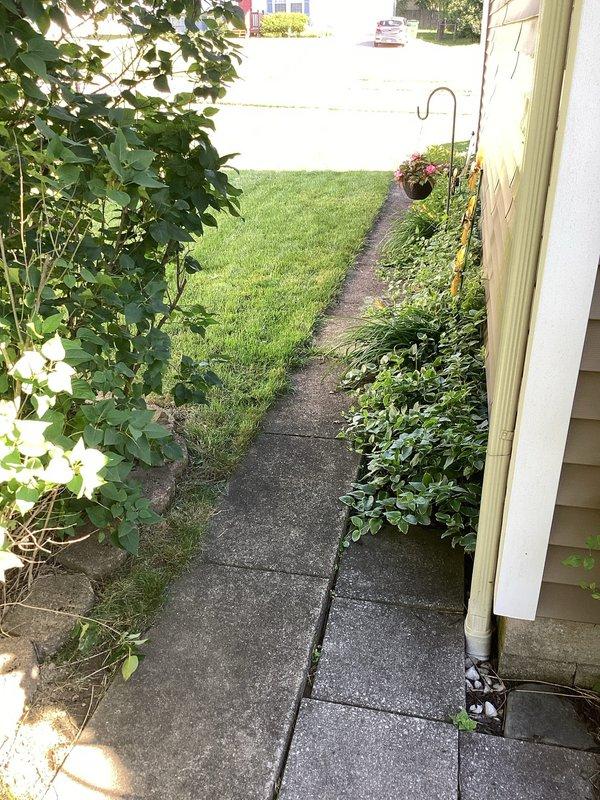 Responded to service call regarding downspout overflow and erosion issues at residential property. Conducted comprehensive inspection of entire ground water drainage system from building to street connection. Evaluated all downspout discharge points and traced underground drainage lines along side yard walkway. Inspection revealed PVC drainage piping system with multiple elbow joints near foundation, with potential blockage or inadequate slope causing water backup and overflow at downspout locations. Examined erosion patterns around two downspout discharge areas where soil washout indicated improper water diversion. Assessed concrete paver walkway condition adjacent to drainage route, noting typical settling and minor vegetation intrusion in joints. Verified street-level discharge point accessibility and confirmed drainage path continuity. Documented existing system configuration with photographs showing PVC pipe layout, foundation discharge points, landscaped areas, and walkway condit