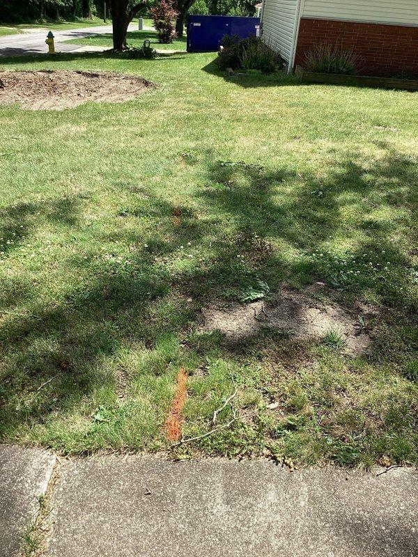 Responded to whole-home sewer line backup at 65-year-old residence. Conducted on-site assessment of exterior property and sewer line access points to evaluate system condition and determine scope of replacement work. Documented property conditions and provided estimate for complete sewer line replacement as requested.