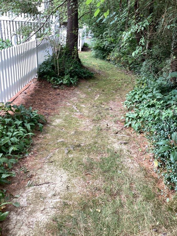 Responded to report of water accumulation and pooling on back patio during rain events. Conducted site assessment of previously installed yard drainage system from last year. Inspected pathway adjacent to property, examined drainage patterns, and verified utility markings in work area. Documented current site conditions including ground surface, vegetation overgrowth affecting drainage flow, and existing drainage infrastructure to determine if additional remediation is required beyond the previous yard drain installation.