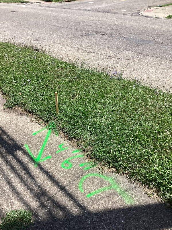 Provided free estimate for main line replacement after diagnosing broken underground sewer main. Coordinated utility location markings on sidewalk and grass areas to identify existing underground lines prior to excavation work. Will be working with homeowner's boiler insurance company to facilitate repair approval and scheduling.
