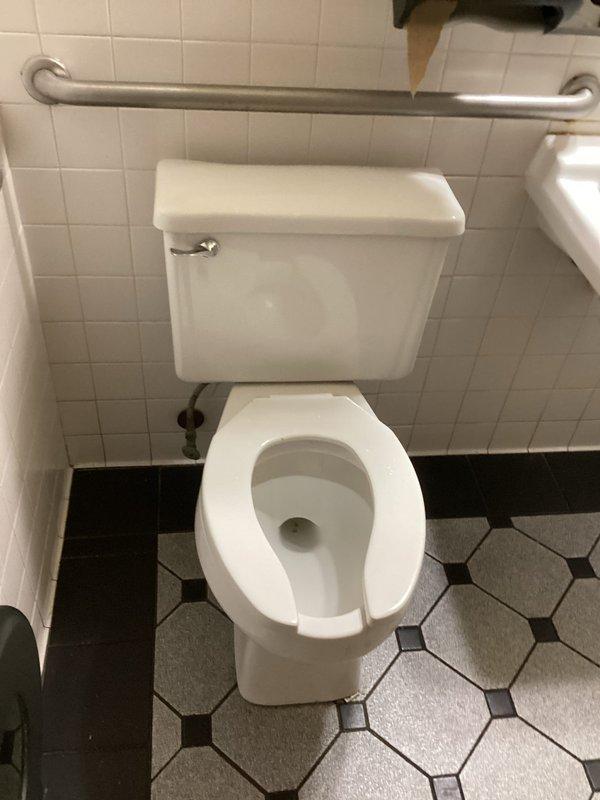 Completed replacement of two existing gravity-flush toilets with pressure-assisted toilet units in a commercial bathroom facility. Removed old fixtures, verified proper floor flange condition, and installed new pressure-assisted toilets with appropriate water supply connections. Ensured proper clearances around ADA-compliant grab bars and verified flush operation on both units. All installations tested for leaks and proper flushing performance before completion.