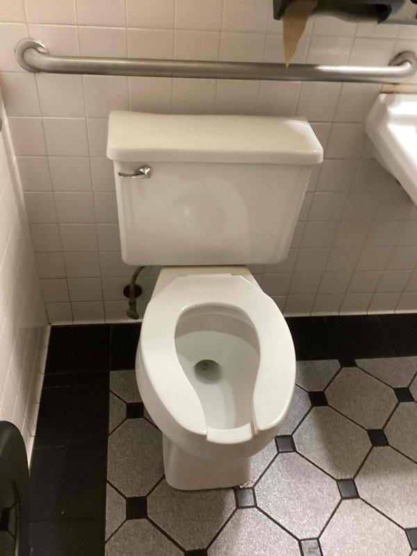 Completed replacement of two existing gravity-flush toilets with pressure-assisted toilet units in a commercial bathroom facility. Removed old fixtures, verified proper floor flange condition, and installed new pressure-assisted toilets with appropriate water supply connections. Ensured proper clearances around ADA-compliant grab bars and verified flush operation on both units. All installations tested for leaks and proper flushing performance before completion.