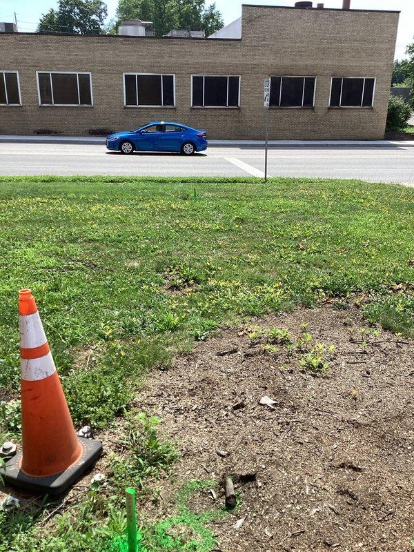 Conducted site assessment and provided estimate for main sewer line replacement at a century-old building experiencing chronic root intrusion issues. The existing main line has been repeatedly compromised by tree root infiltration, requiring a complete line replacement to resolve ongoing blockages and prevent future system failures. Utility locations were marked and documented with photographic evidence of the work area for excavation planning.