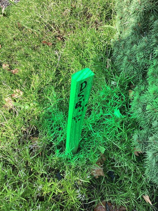 Responded to service call regarding blocked downspout drainage system causing water overflow and mulch displacement onto driveway. Located and marked underground drain line using utility stakes and spray paint to identify cleanout access point. Cleared blockage from main drain line to restore proper water flow and prevent further erosion of landscaping materials.