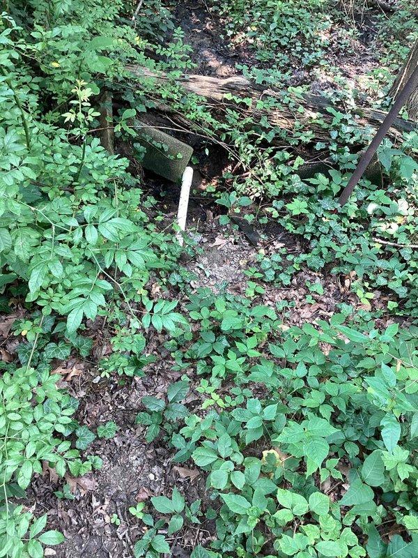 Completed installation of washing machine drain line connection to existing sewer system. Accessed exterior sewer line in wooded area behind property and tied in new drain line to accommodate laundry facility. Verified proper drainage flow and confirmed all connections in basement mechanical room where washing machine hookup is located, ensuring compliance with plumbing codes and proper venting.