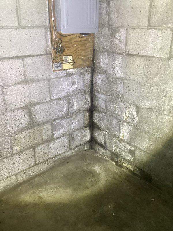 Responded to service call for water intrusion into residential basement. Upon inspection, identified significant moisture infiltration evidenced by extensive water damage to ceiling texture, vertical streaking on concrete block walls, and heavy efflorescence deposits throughout the basement perimeter. The primary source was determined to be exterior surface water entering through foundation walls, likely due to improper downspout drainage directing water toward the foundation rather than away from the structure. Documented moisture damage patterns on walls and ceiling, photographed affected areas showing active water staining and mineral deposits consistent with chronic water seepage. Advised customer that downspout extensions and grading improvements are required to redirect surface water away from foundation to prevent continued infiltration.