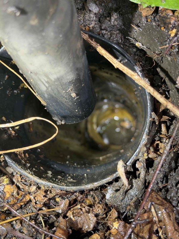 Performed second-opinion camera inspection of storm drain system to assess blockages and potential pipe collapse in yard area. Inspection revealed significant deterioration of drain assembly with mineral buildup, debris accumulation, and compromised pipe integrity at marked location, confirming concerns identified by previous contractor. Documented findings with photographic evidence showing drainage fixture condition, internal pipe deterioration, and surrounding ground conditions for repair recommendations.