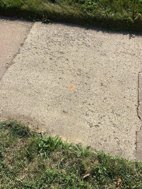 Responded to drainage issue on opposite side of facility as follow-up to previous service call. Performed inspection of exterior drain system and traced problem to main line connection at street level. Documented site conditions including street access point and sidewalk area where municipal connection requires attention. Recommended coordination with municipality for street-level drain line repair to resolve recurring drainage concerns.