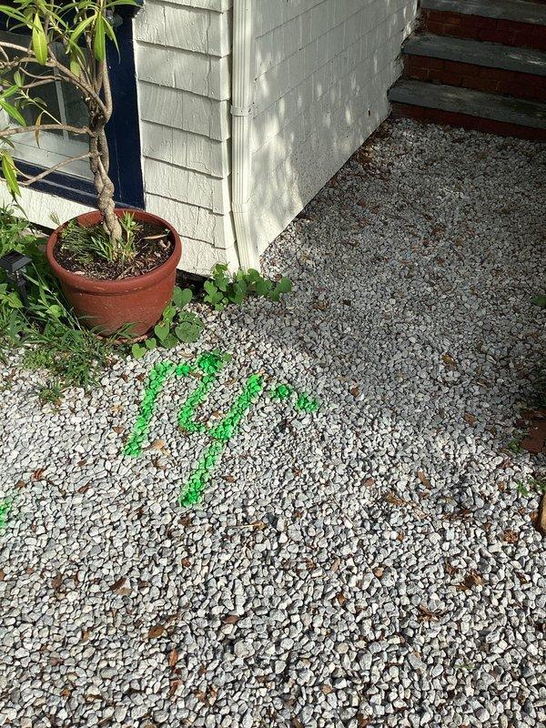 Performed camera inspection and mechanical snaking of downspout drain line in backyard. Located and accessed cleanout point, successfully cleared blockage using drain snake equipment, and verified proper water flow through video camera inspection to ensure complete resolution of drainage issue.