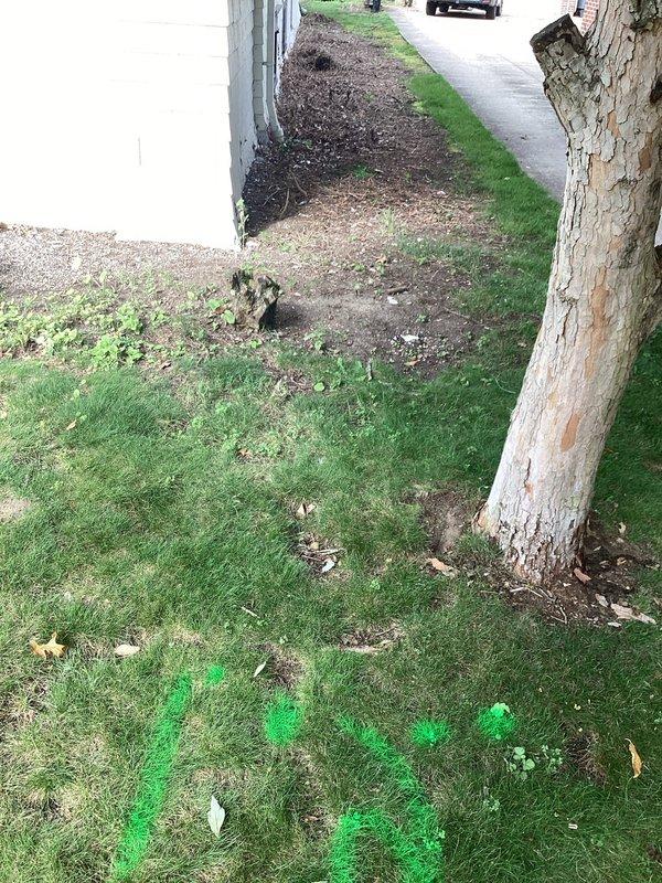 Performed camera inspection and mechanical snaking of downspout drain line in backyard. Located and accessed cleanout point, successfully cleared blockage using drain snake equipment, and verified proper water flow through video camera inspection to ensure complete resolution of drainage issue.