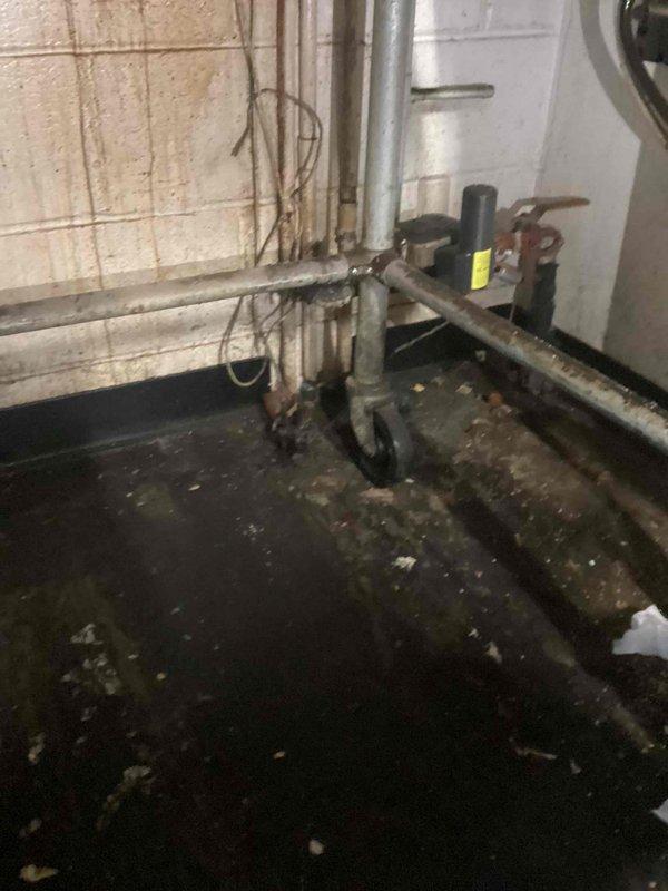 Completed commercial backflow preventer installation in basement utility area. Installed new backflow prevention assembly with appropriate fittings and connections to existing water supply system. Service call fee waived for installation. Confirmed appointment window and documented existing conditions showing aging plumbing infrastructure with galvanized and copper piping throughout mechanical room.